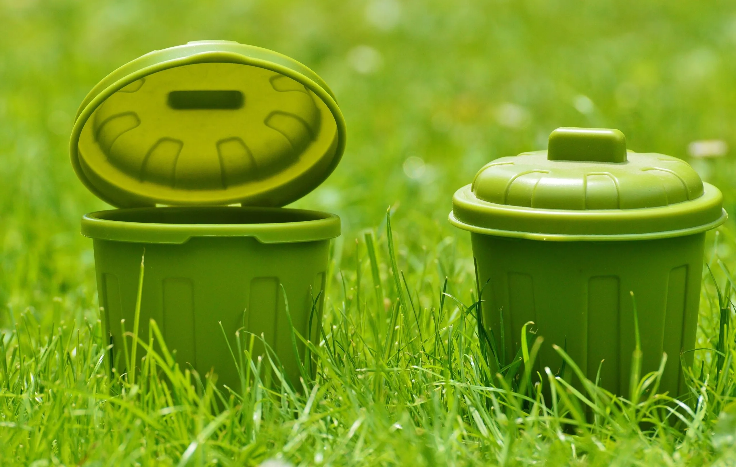 cubos de plástico sobre césped verde